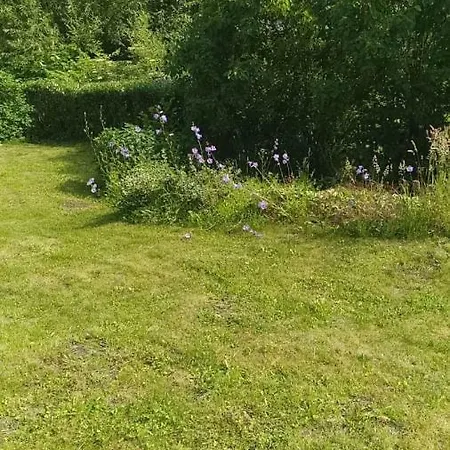 Haus An Der Radau Bad Harzburg